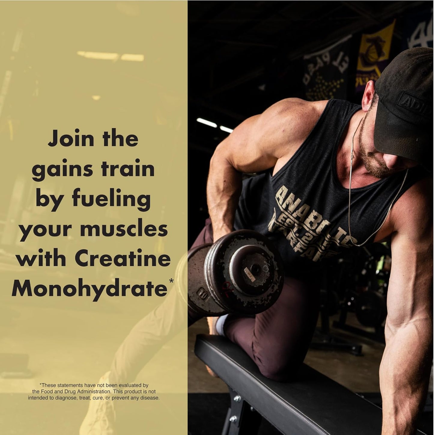 Creatine Monohydrate