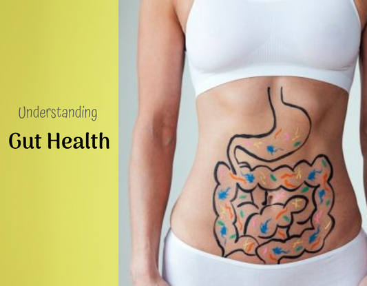 Understanding Gut Health