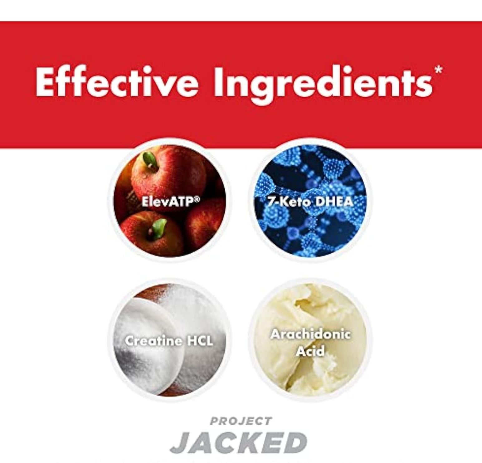 Anabolic Warfare Project Jacked effective ingredients.